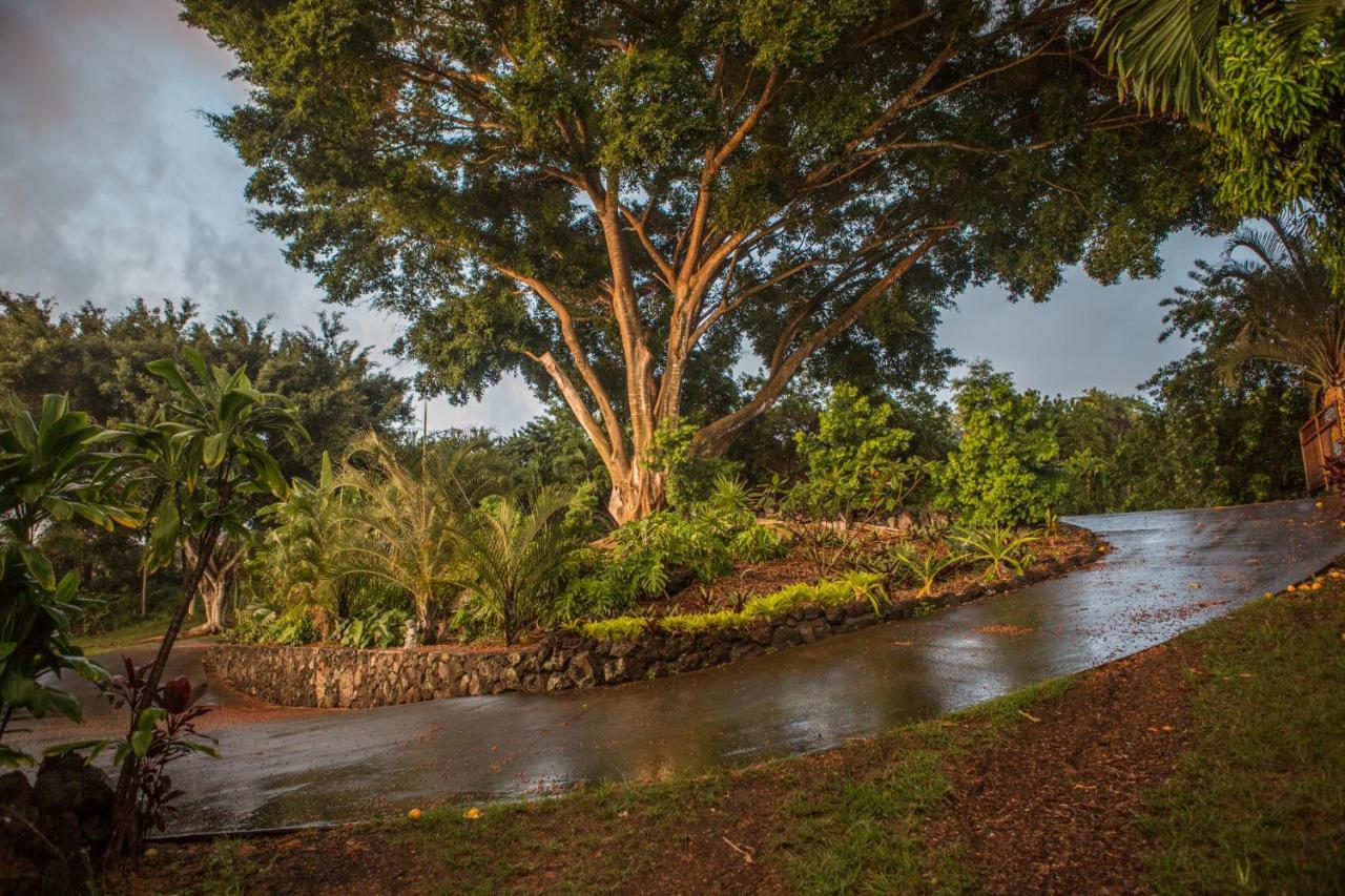 Banyan Tree Sanctuary Guest House Kalaoa Dış mekan fotoğraf