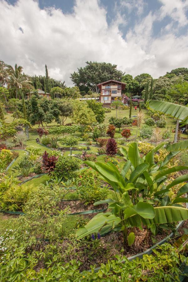 Banyan Tree Sanctuary Guest House Kalaoa Dış mekan fotoğraf
